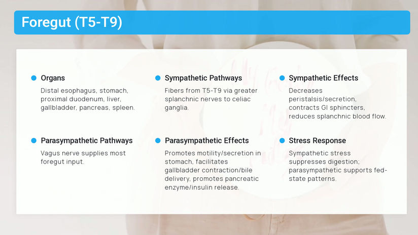 The Osteopathic Neurologic Model and Approach to Care